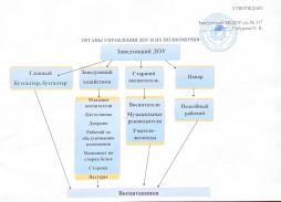 Органы управления организацией и их полномочия