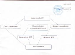 Органы управления организацией